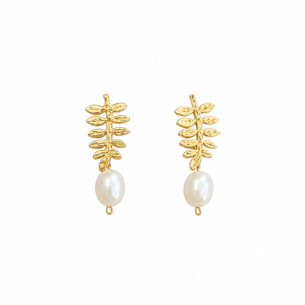 Pearl Vine